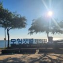 모항호프