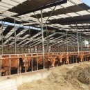 봉화1농장 이미지