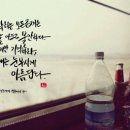 아프로존루비셀