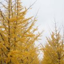 쌍이리귀바위 이미지