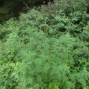 전주우림초등학교 이미지