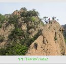 언도 Daum카페