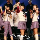 핑클 카카오 검색결과