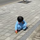 리나어린이집 | 571-580일 육아일기 | 의정부 중랑천 벚꽃 구경 아기랑, 프프 그랜마 팬츠 스몰 후기, 포크레인 러버