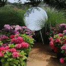 버들카페 이미지