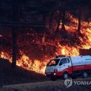 산불 무인 감시 시스템 이미지