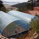여수돌산반딧불황토민박