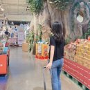 코지마트 이미지