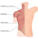 만세한의원 이미지