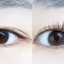 라보떼래쉬 이미지