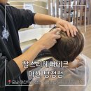 탕정면로8번길+탕정면로22번길 | 개인별 맞춤 프리미엄 두피케어 후기 / CLSMGF (w.민규부원장)[찰스리헤어테크 아산탕정점]