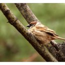 벽적골공원 이미지