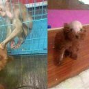 일발장전 이미지