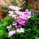 마음의 문 이미지