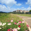 대명리조트 제주 이미지