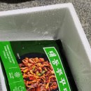 대동 | 메가쇼 쭈꾸미 상세 후기 | 대동쭈꾸미 밀키트로 즐기는 맛집 퀄리티