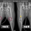 만덕24시동물병원 이미지