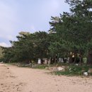 나로우주해수욕장 이미지