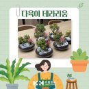 테라리움동물병원 | [더힐병원 힐링 프로그램] 오래 자라는 다육이 테라리움 꾸미기 후기