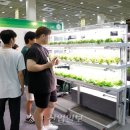 팜솔루션 이미지