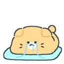 NC대전유성점 화장실 이미지