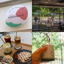 동백뚱 | 동백카페 동백디저트맛집 히든오아시스 뷰도 크로플도 좋았던 곳
