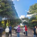 영천동 법호촌 이미지