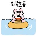세종프리다이빙 이미지