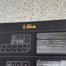 세르보니토