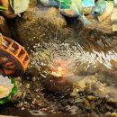 숲속의다향 이미지