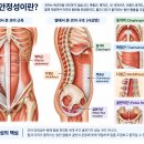 짐볼 하나로 시작하는 20분 전신운동 초보자를 위한 코어·균형 필라테스 이미지