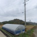 조은날부동산공인중개사사무소 이미지