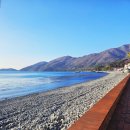 학동자동차야영장아영장 이미지