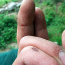 승규농장 이미지