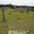 신효동-19 이미지