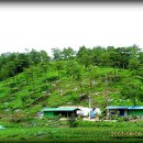 심청주유소 이미지