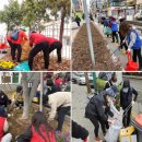 논현2동-4 이미지