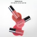 플러터(flutter) | 듀 립글레이즈 전색상 정보후기 (딜라이트, 어도러블...어딕트, 멜로우, 코지, 앤비, 스위튼, 플러터)