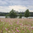 구리한강시민공원 이미지
