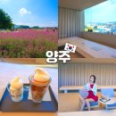 광사2천 | 양주 나리공원 카페 로슈아커피 나리쿠폰 맛집 데이트코스