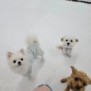 행복을 배우는 공간 이미지