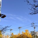 명륜어린이집 | [임장기록] 부산 연제구 레이카운티 vs 거제 현대홈타운 임장 후기 + 명륜2구역