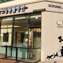 소망동물병원 이미지