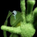 스타트라인 이미지