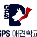 GPS 애견학교 이미지