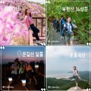 [공지] [등산] 윤또산 2024 연말 결산⛰️ :: 총 산행 67산⛰️
