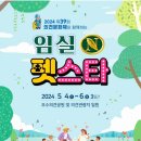 오로라펫 이미지