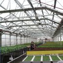 고담농장 이미지