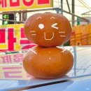 해미수산 | 제주 성산 해미실농수산 서귀포귤따기체험