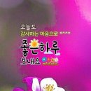 정의료기 Daum카페
